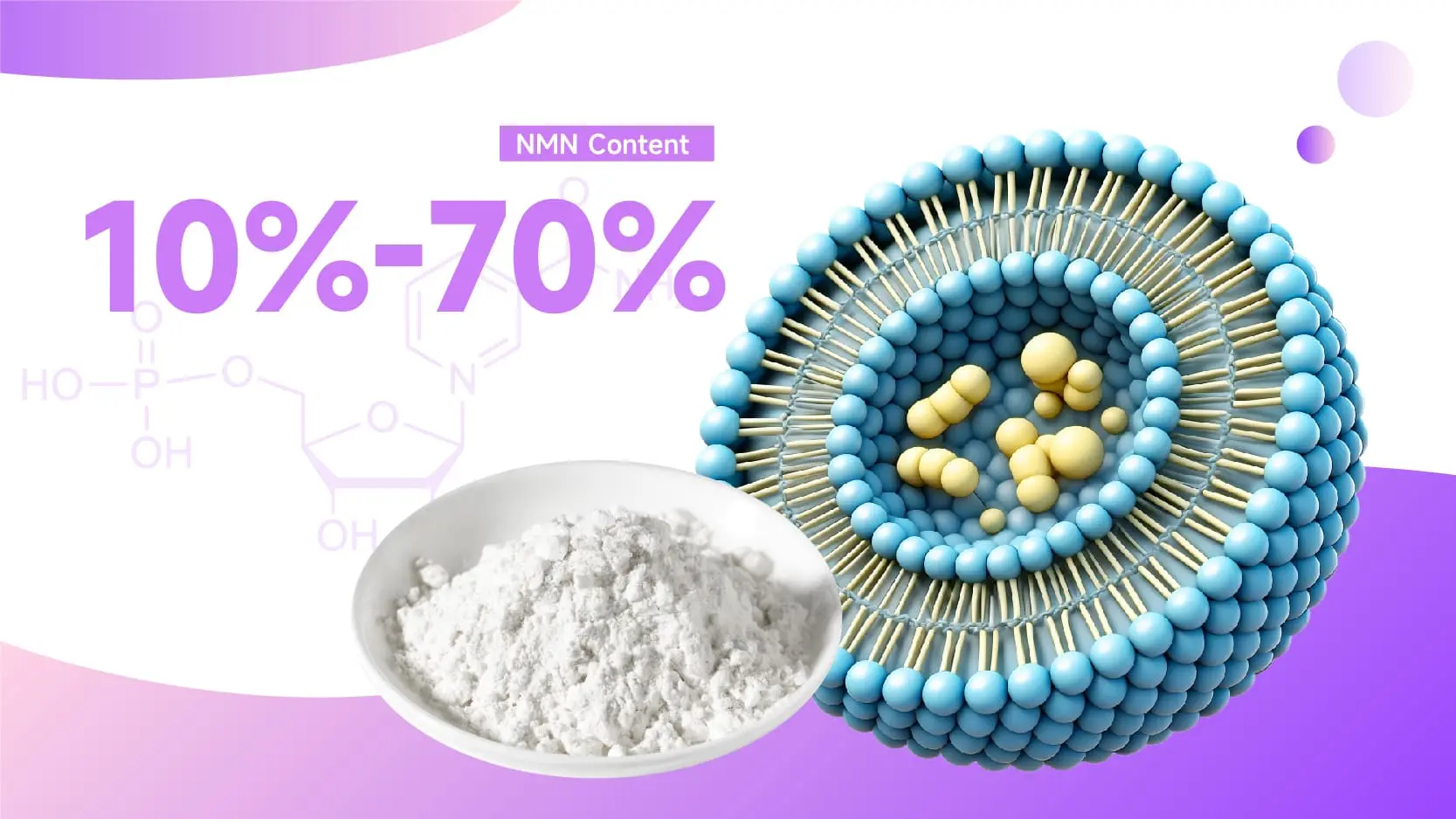 Liposomal Nmn Powder Liposomal Nmn Powder