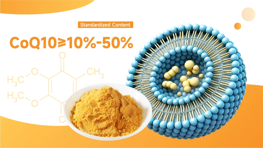 Liposomal Coenzyme Q10 Powder