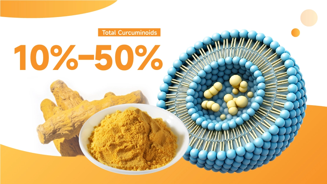 Liposomal Curcumin Powder
