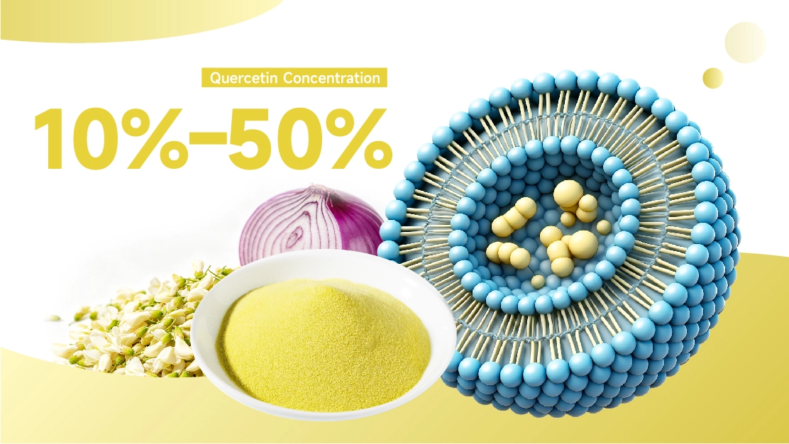 Bulk Liposomal Quercetin Powder for Supplements