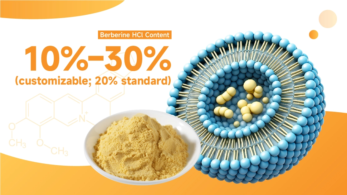 Liposomal Berberine Powder