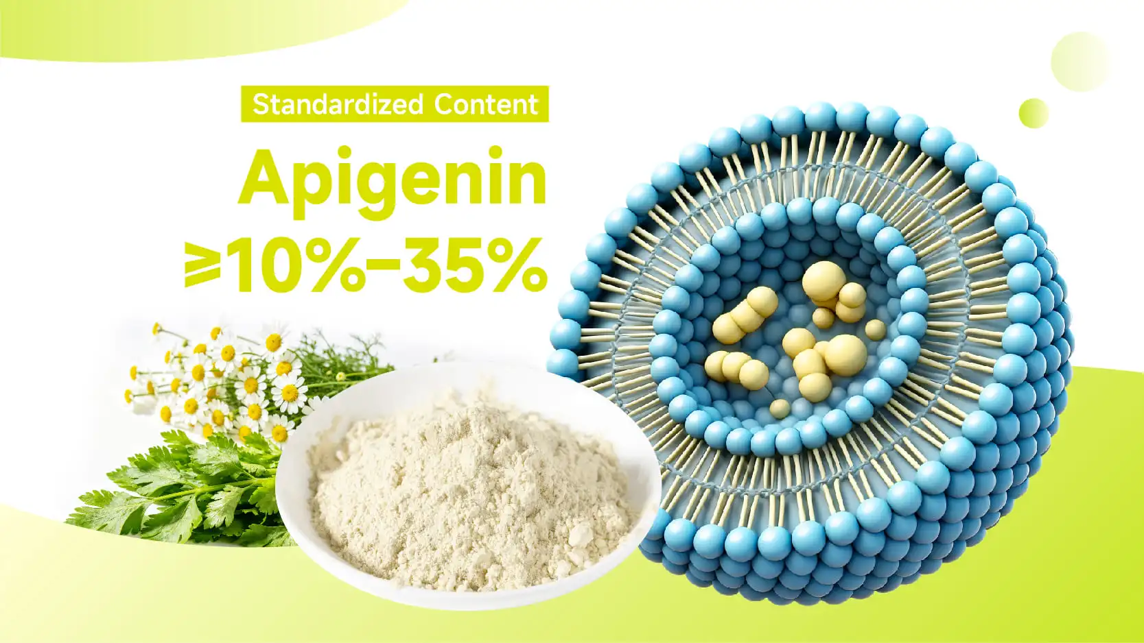 Liposomal Apigenin Powder