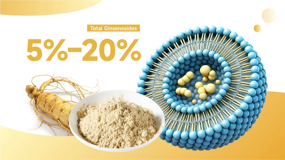 Liposomal Ginseng Extract Liposomal Ginseng Extract