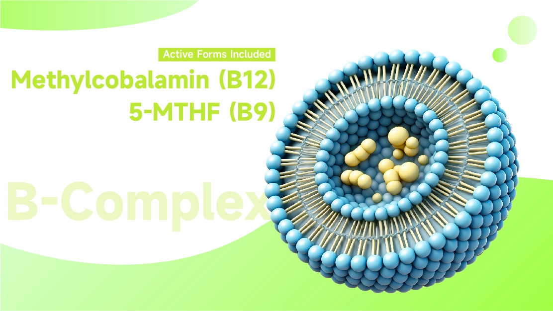 Liposomal Vitamin B Complex