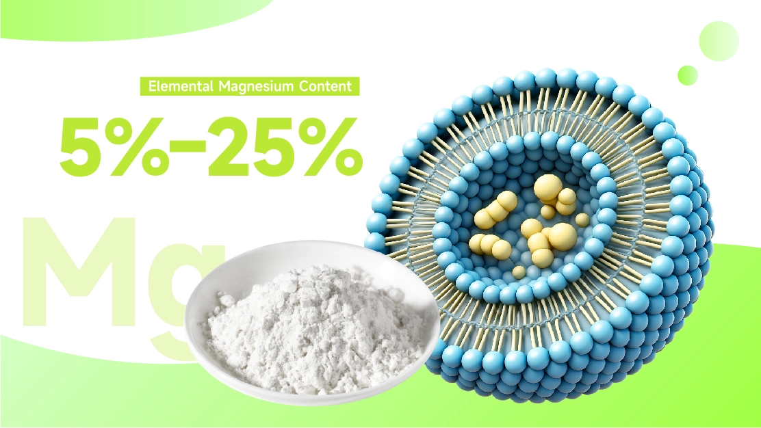 Liposomal Magnesium Powder Liposomal Magnesium Powder