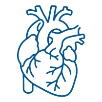 Cardiovascular Health Cardiovascular Health