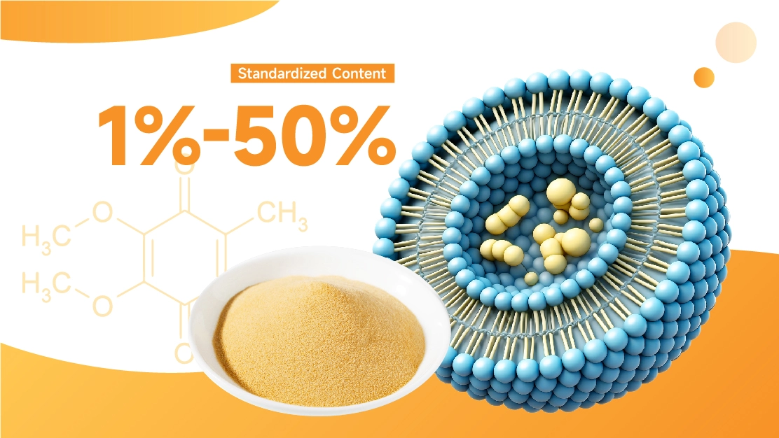 Liposomal Vitamin B9