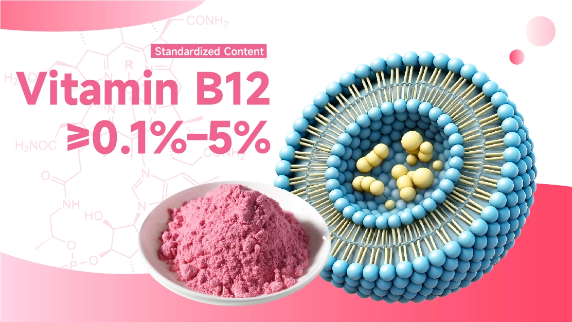 Liposomal Vitamin B12