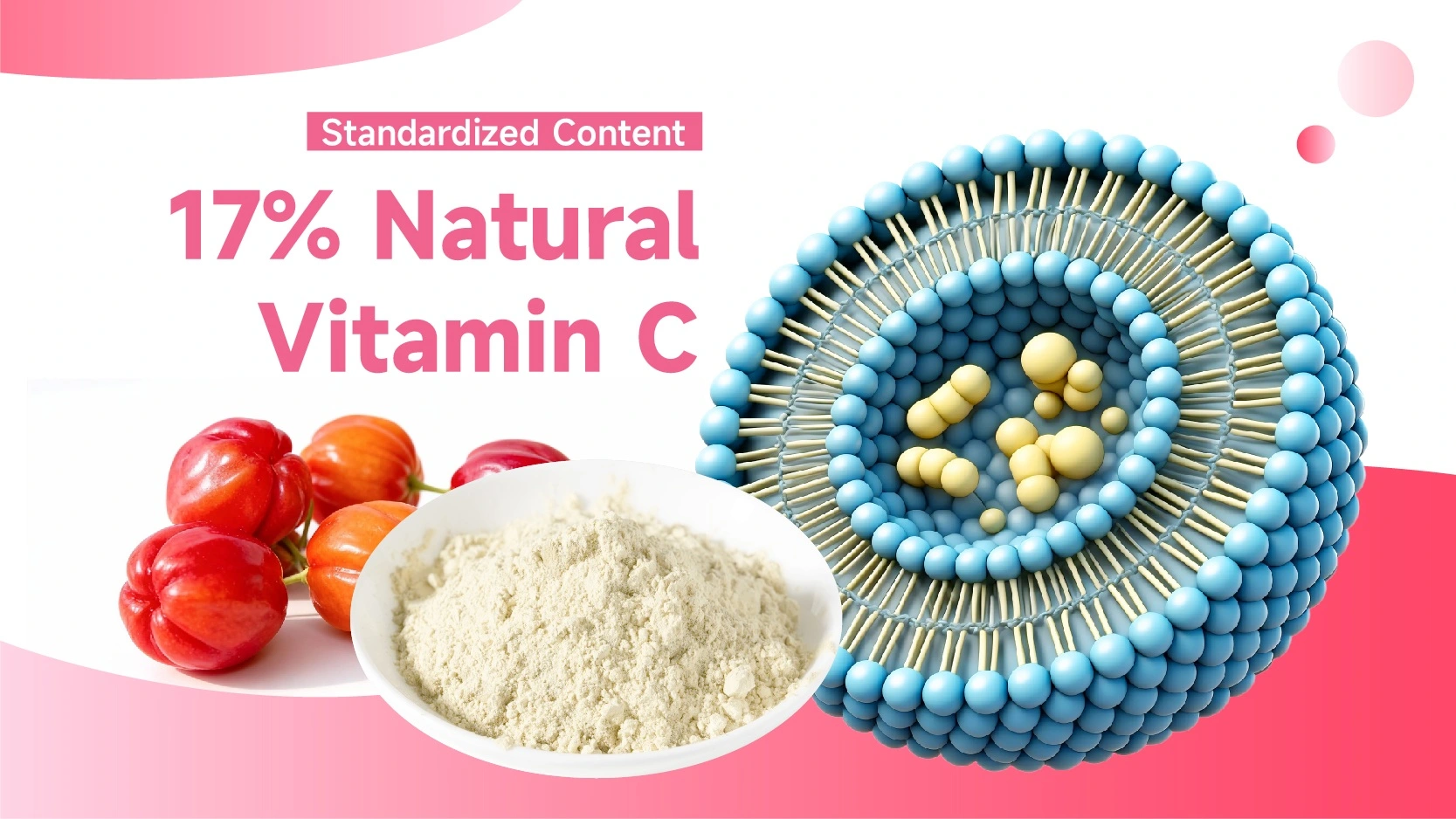 Liposomal Acerola Cherry Extract