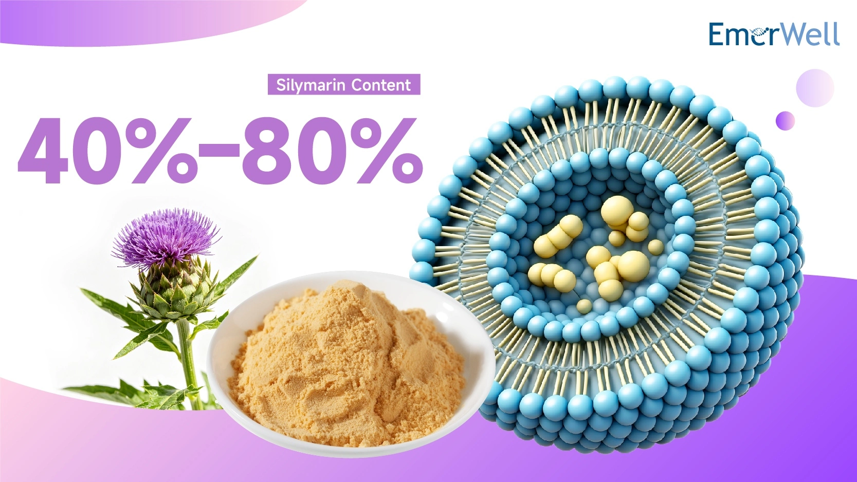 Liposomal Milk Thistle Extract