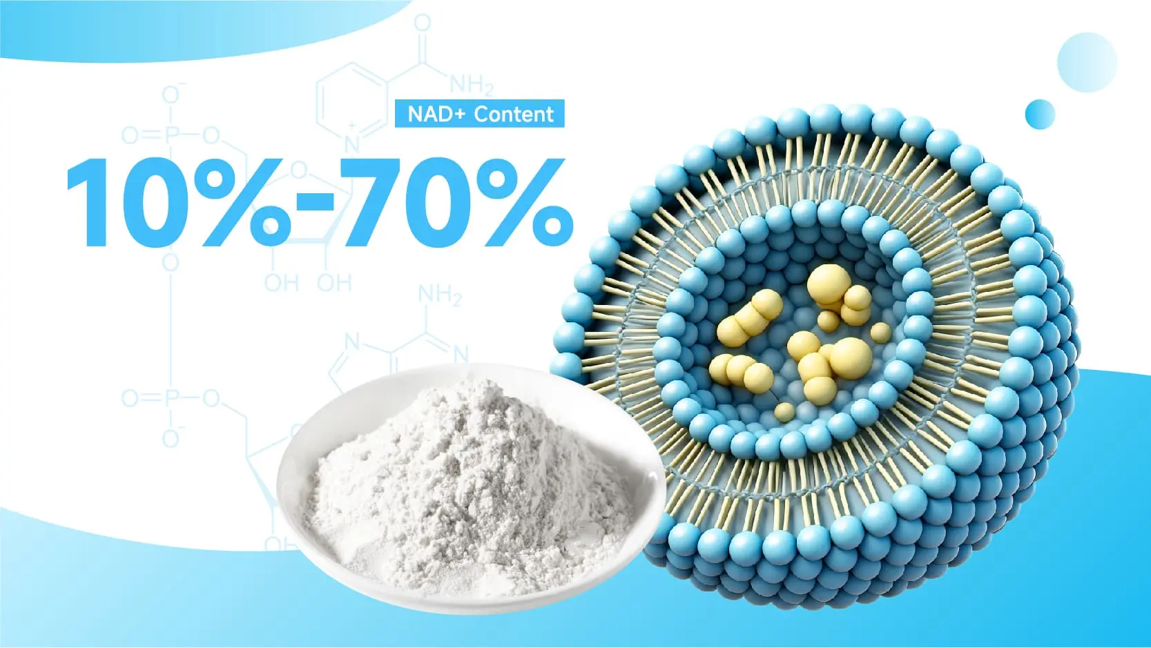 Liposomal NAD+ Powder