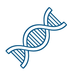 Activates AMPK and Longevity Genes Activates AMPK and Longevity Genes