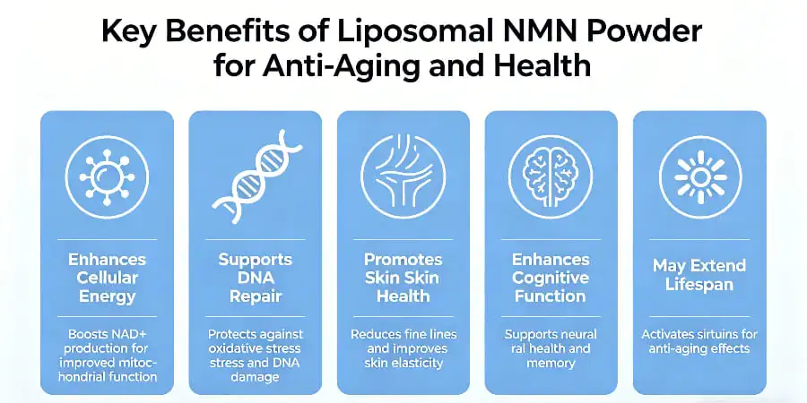 Key Benefits of Liposomal NMN Powder for Anti-Aging and Health Key Benefits of Liposomal NMN Powder for Anti-Aging and Health