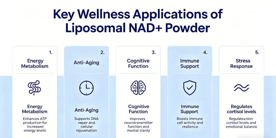 Key Wellness Applications of Liposomal NAD+ Powder