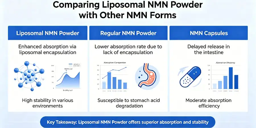Comparing Liposomal NMN Powder with Other NMN Forms Comparing Liposomal NMN Powder with Other NMN Forms