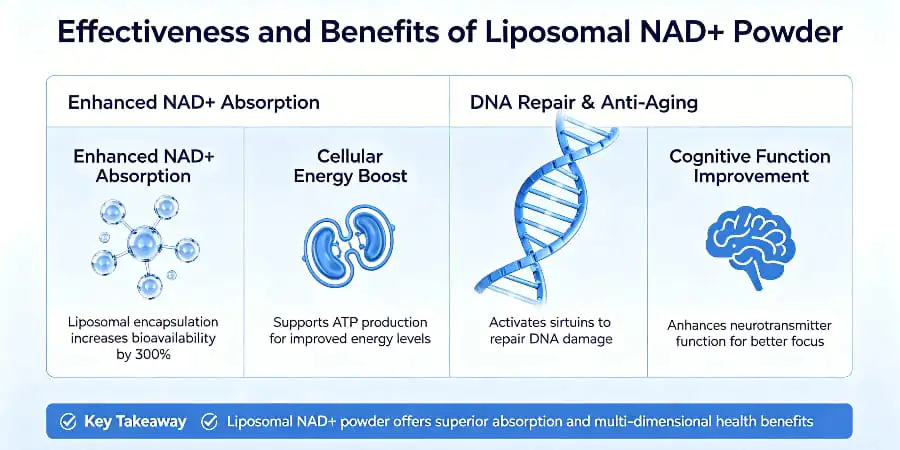 Effectiveness and Benefits of Liposomal NAD+ Powder