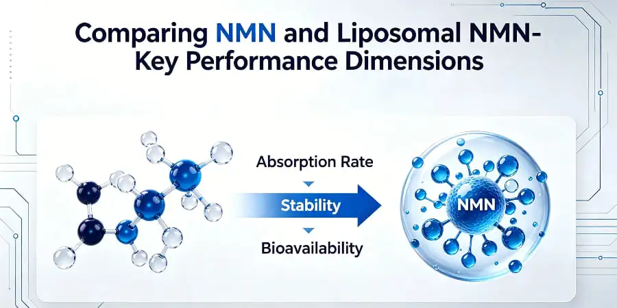 Comparing NMN and Liposomal NMN-Key Performance Dimensions