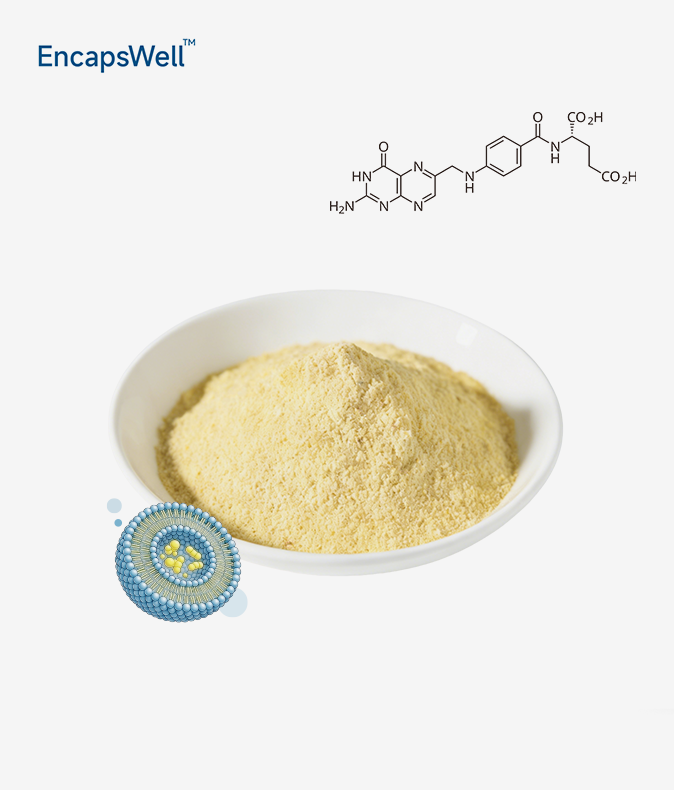 Liposomal Vitamin B9