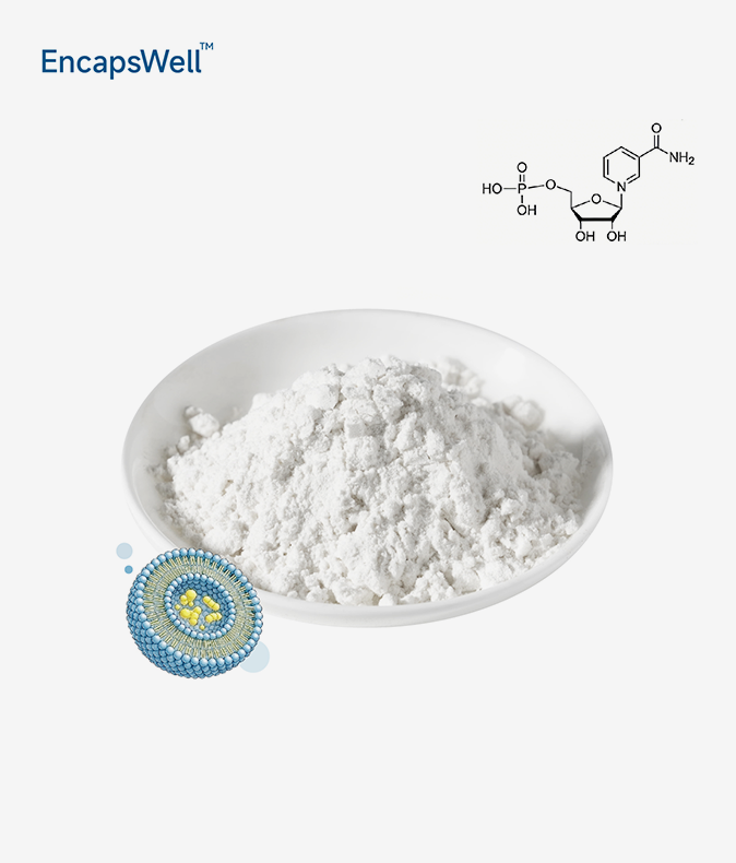Liposomal NMN Powder