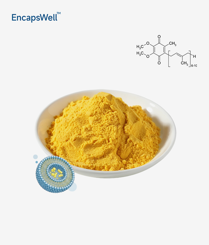 Liposomal Coenzyme Q10 Powder