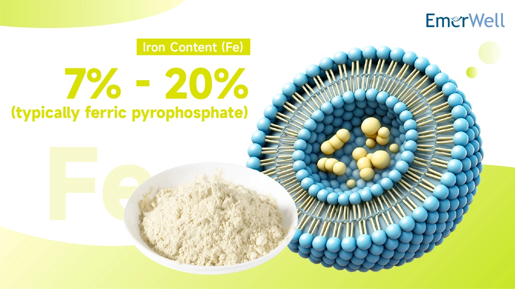 Liposomal Iron Powder - EmerWell Liposomal Iron Powder - EmerWell