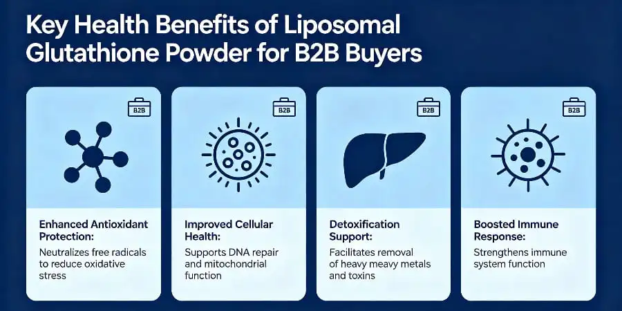 Key Health Benefits of Liposomal Glutathione Powder for B2B Buyers Key Health Benefits of Liposomal Glutathione Powder for B2B Buyers