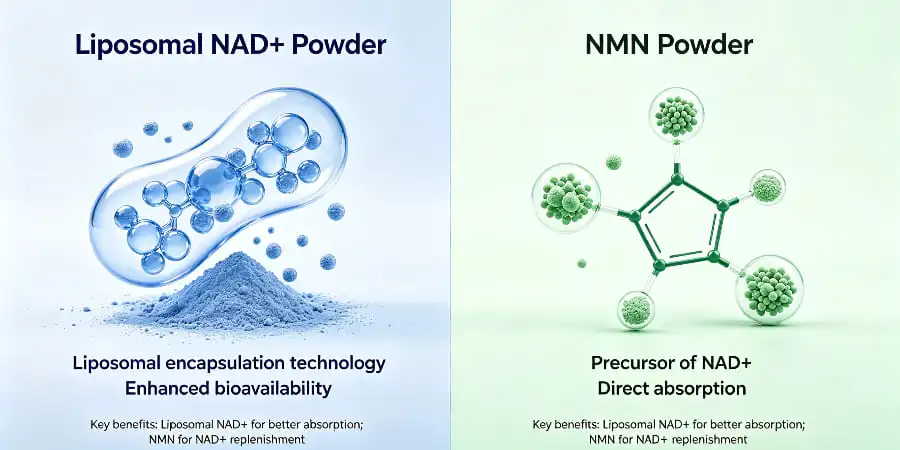 Liposomal NAD+ Powder vs NMN Powder