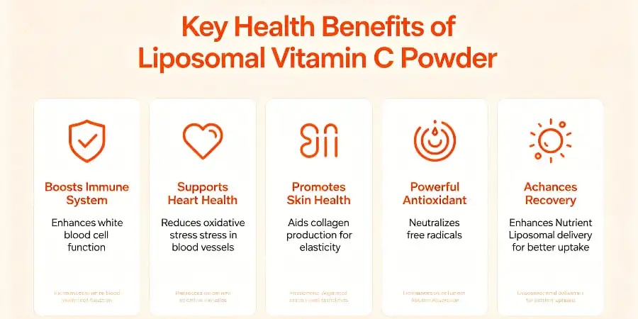 Key Health Benefits of Liposomal Vitamin C Powder