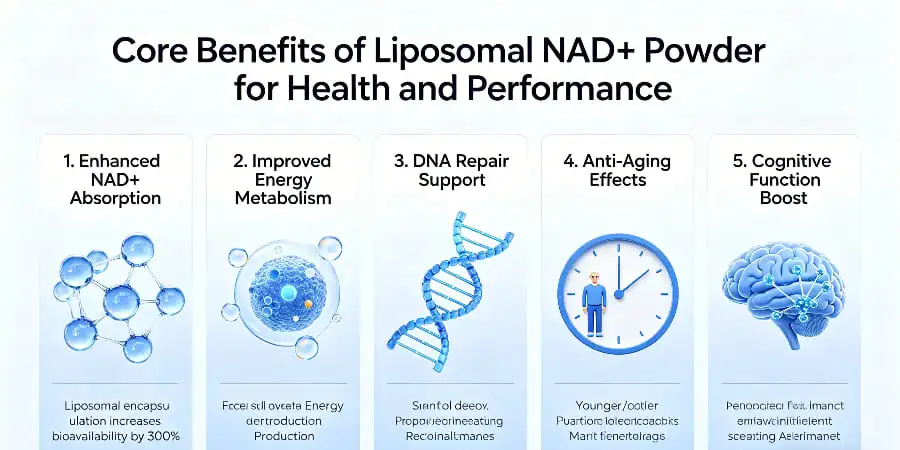 Core Benefits of Liposomal NAD+ Powder for Health and Performance Core Benefits of Liposomal NAD+ Powder for Health and Performance