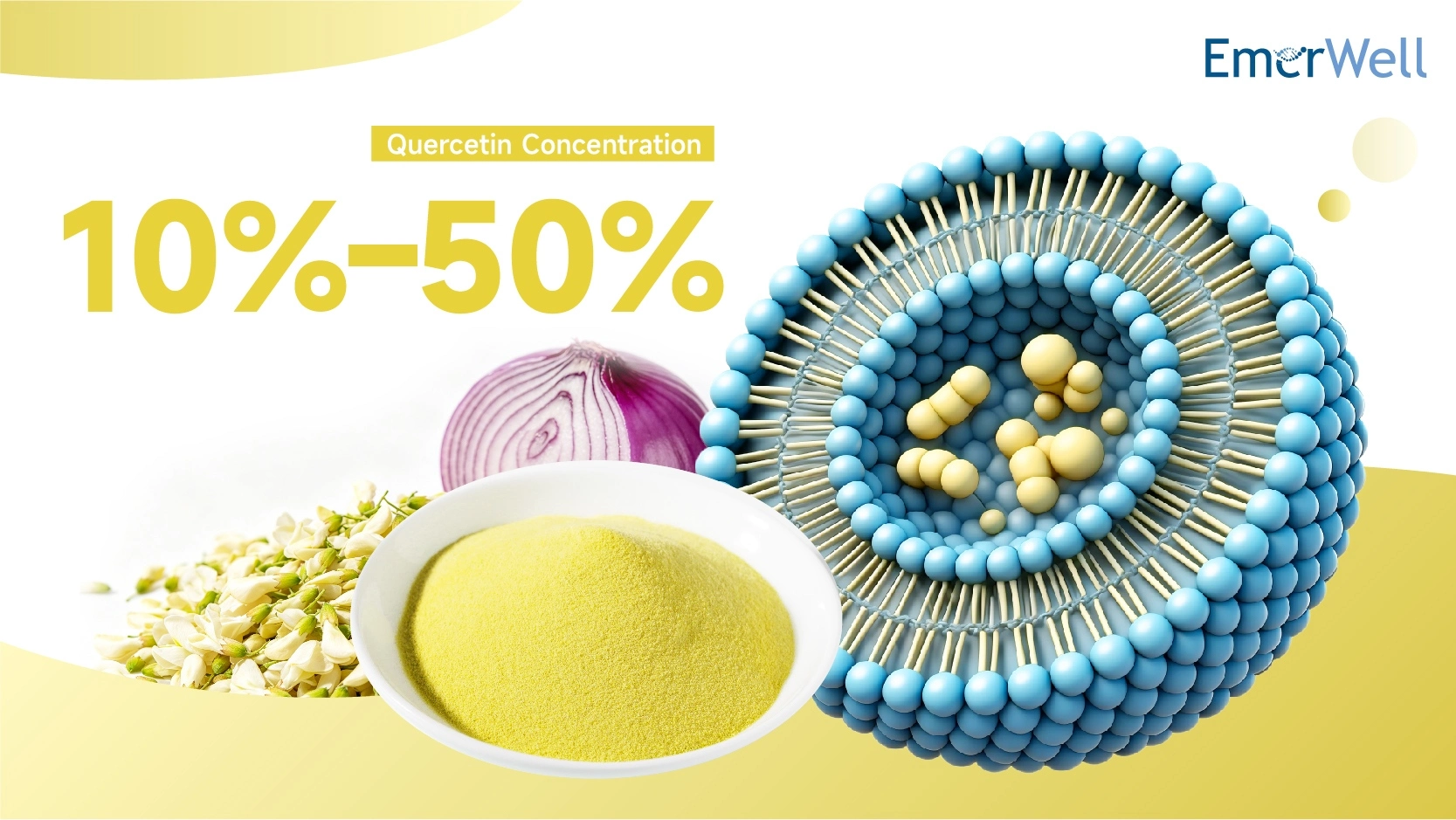 Bulk Liposomal Quercetin Powder for Supplements