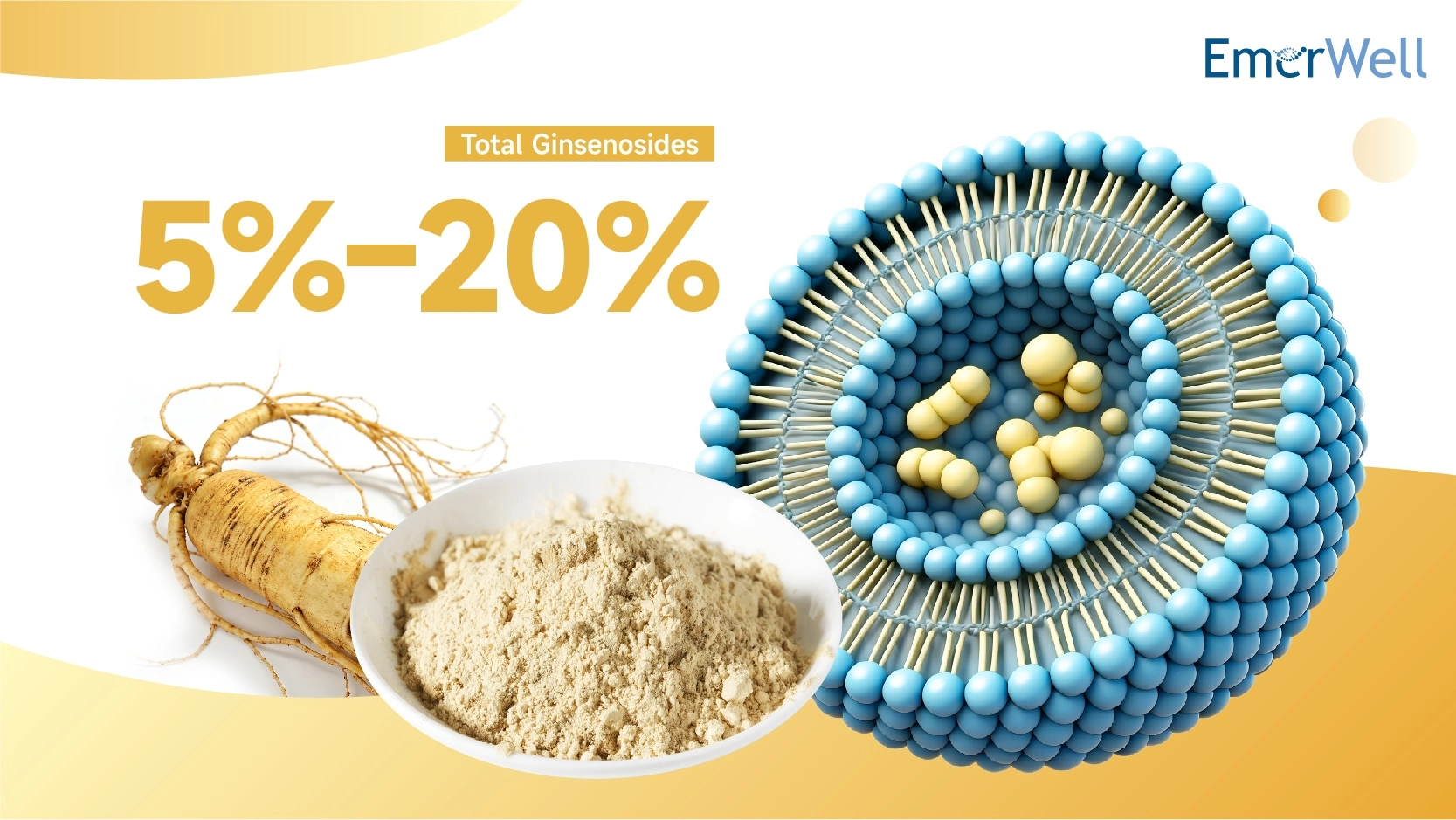 Liposomal Ginseng Extract