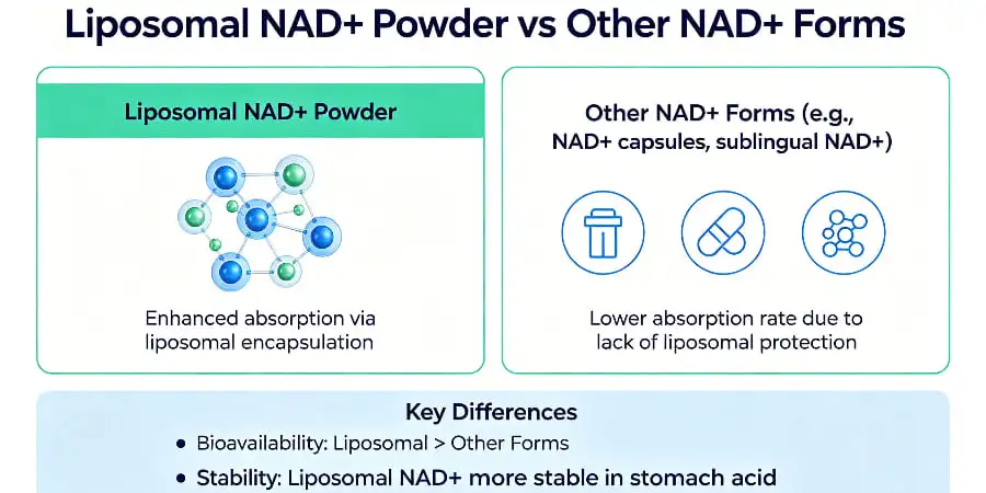 Liposomal NAD+ Powder vs Other NAD+ Forms Liposomal NAD+ Powder vs Other NAD+ Forms