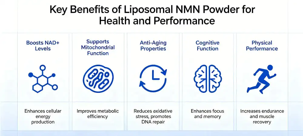 Key Benefits of Liposomal NMN Powder for Health and Performance Key Benefits of Liposomal NMN Powder for Health and Performance