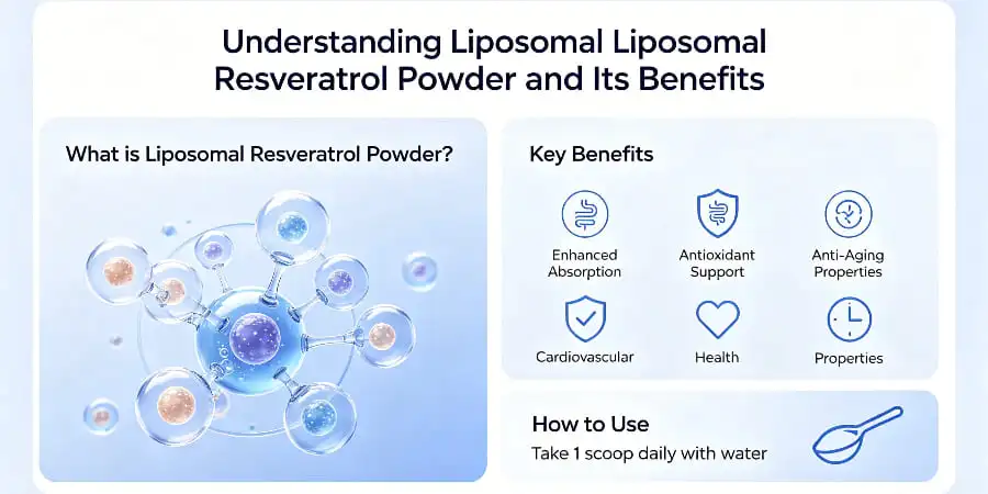 Understanding Liposomal Resveratrol Powder and Its Benefits