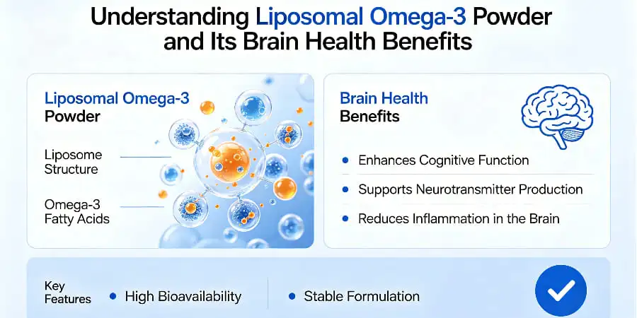 Understanding Liposomal Omega-3 Powder and Its Brain Health Benefits
