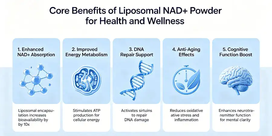 Core Benefits of Liposomal NAD+ Powder for Health and Wellness