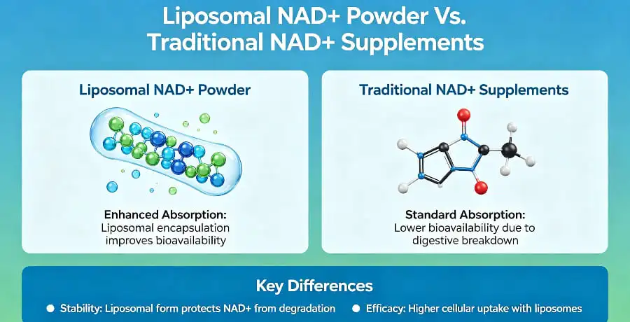 Liposomal NAD+ Powder Vs. Traditional NAD+ Supplements