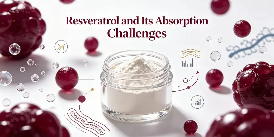 Understanding Resveratrol and Its Absorption Challenges