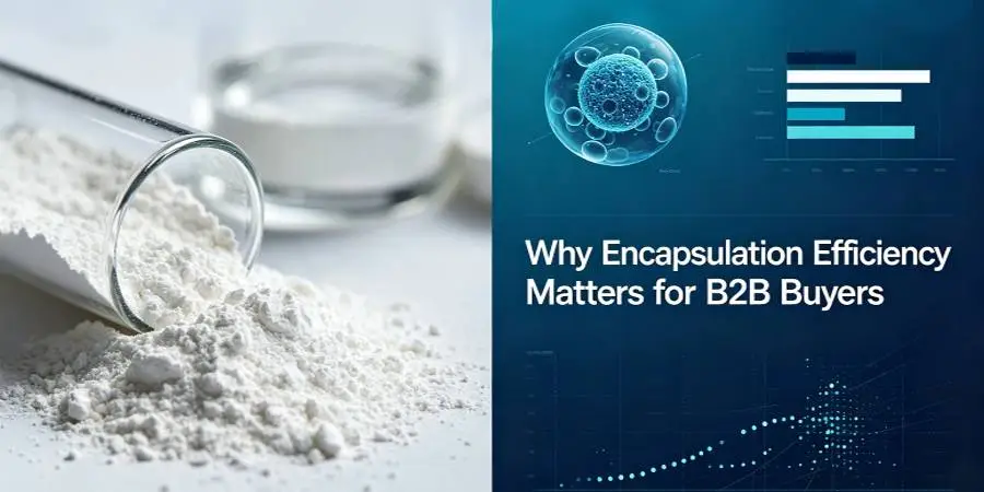 Why Encapsulation Efficiency Matters for B2B Buyers Why Encapsulation Efficiency Matters for B2B Buyers