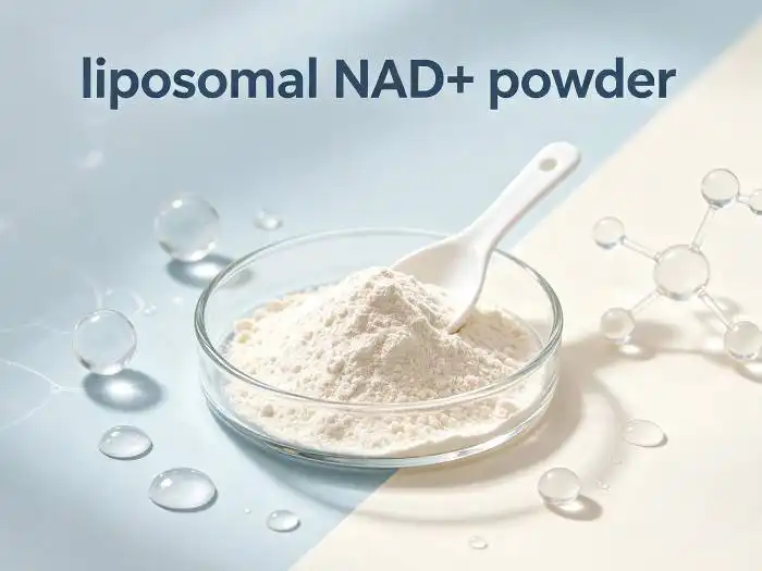 NMN vs NAD+: Comparing Ingredients for Cellular Energy Support