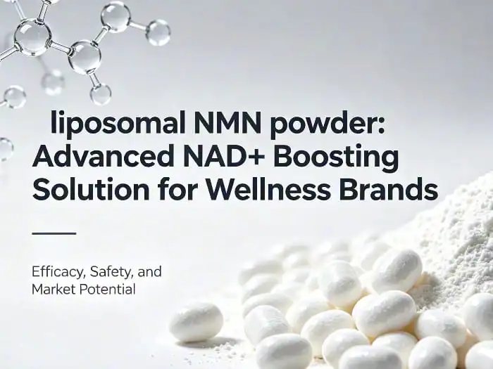 Sourcing Liposomal NMN Powder: Ensuring Potency and Purity