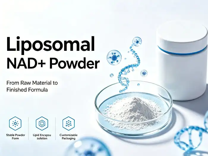 Understanding NAD+ in Human Cellular Metabolism
