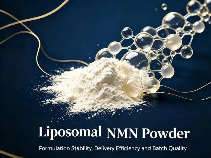 Best Liposomal NMN Powder Supplier: 7 Checks to Make