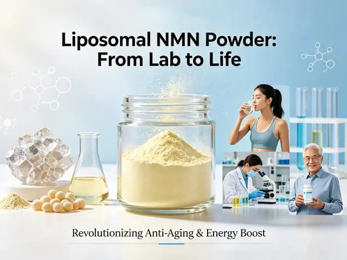 Is Liposomal NMN Powder Effective for Cellular Energy Support?