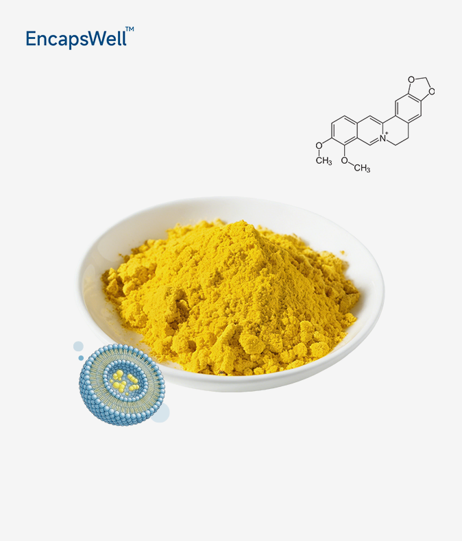 Liposomal Berberine Powder