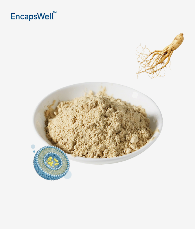 Liposomal Ginseng Extract