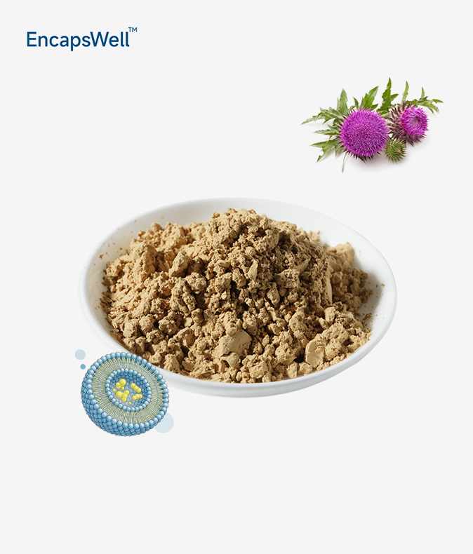 Liposomal Milk Thistle Extract