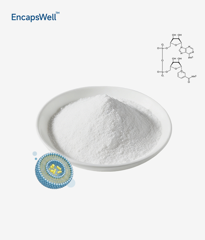 Liposomal NAD+ Powder