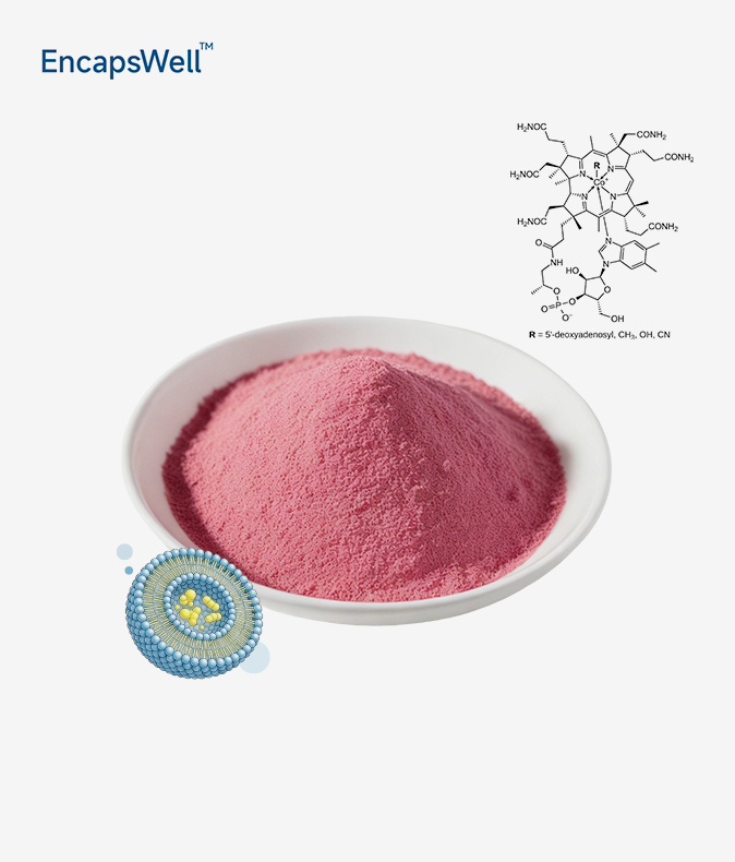Liposomal Vitamin B12