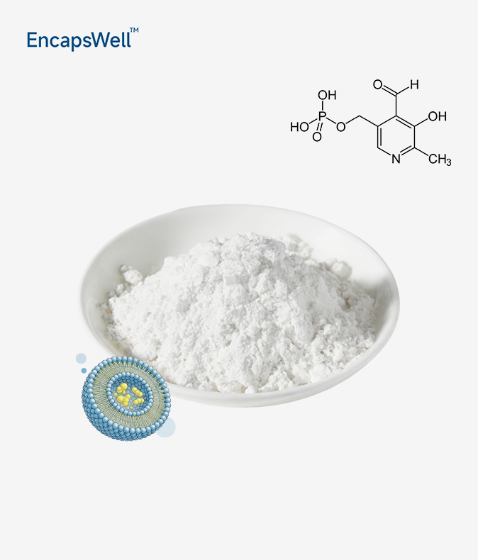 Liposomal Vitamin B6